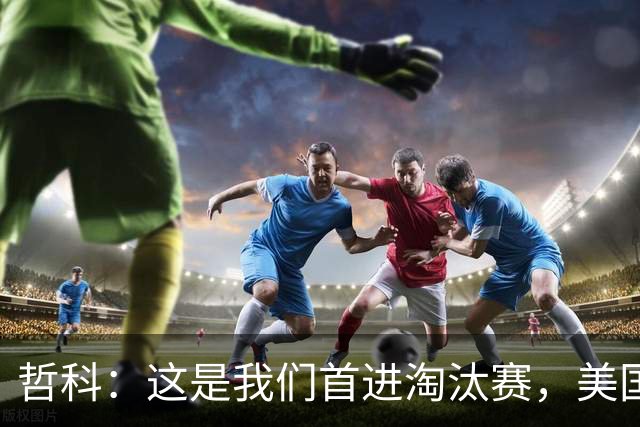 哲科：这是我们首进淘汰赛，美国是东道主但波黑走到这绝非偶然