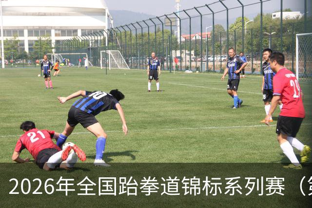 2026年全国跆拳道锦标系列赛（第二站）在广州收官